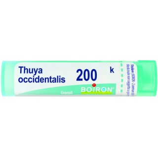 THUYA OCC 200K GR 4G