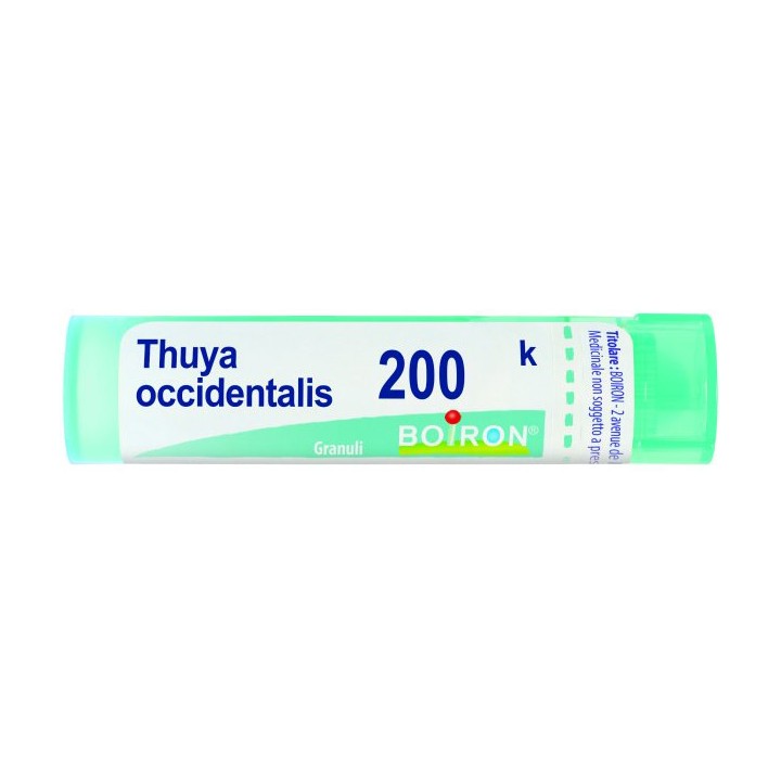THUYA OCC 200K GR 4G