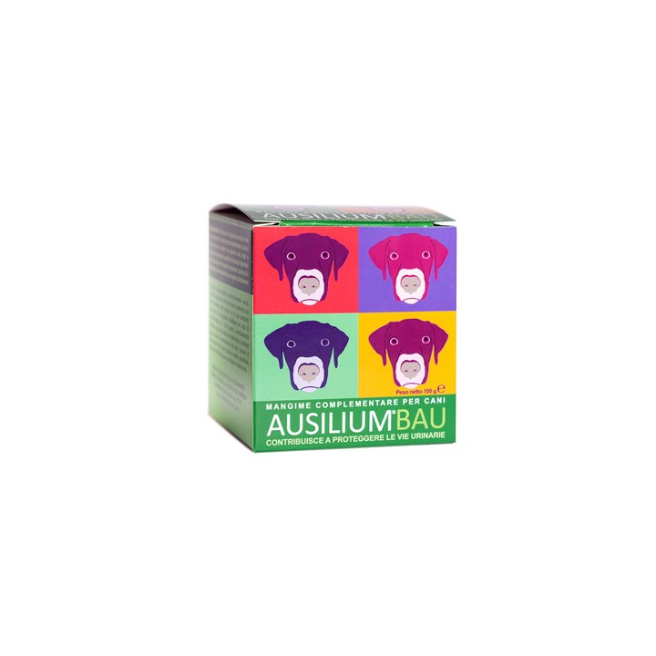 AUSILIUM BAU 100G