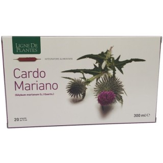 CARDO MARIANO 20AMPOLLE