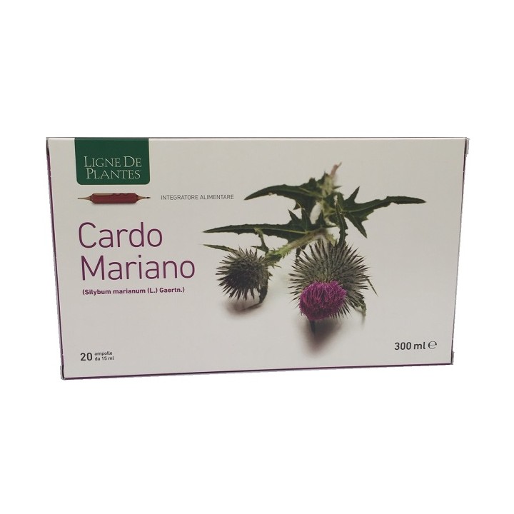 CARDO MARIANO 20AMPOLLE