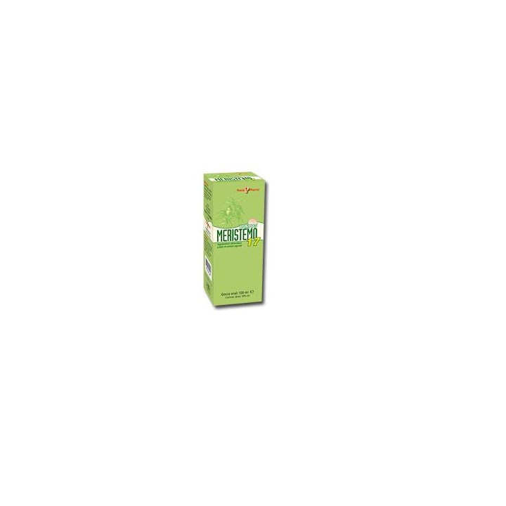 MERISTEMO 17 OSTEOARTICOL100ML