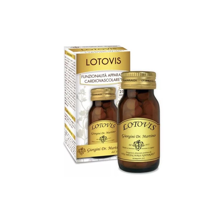 LOTOVIS 100PAST