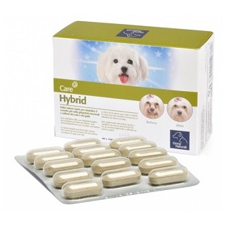 HYBRID ORME NAT 60CPR