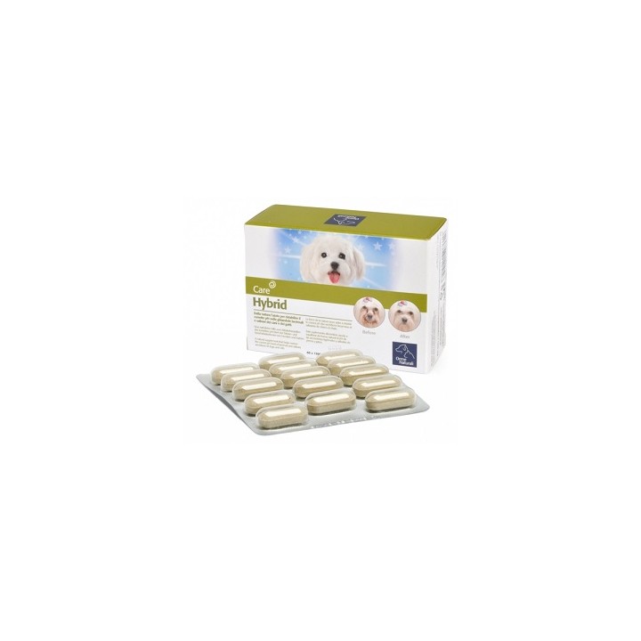 HYBRID ORME NAT 60CPR