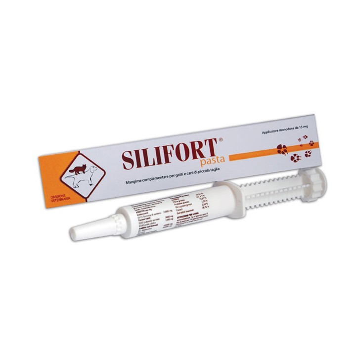 SILIFORT PASTA OS SIRINGA 30G