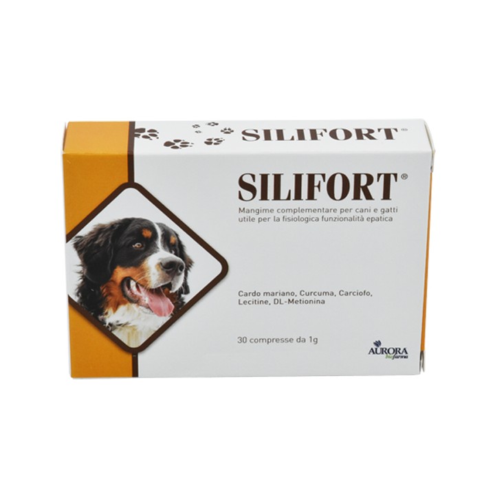 SILIFORT 30CPR 1G