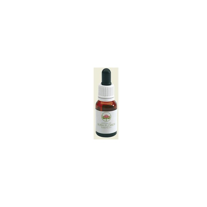 DAGGER HAKEA AUSTRALIAN 15MLGT