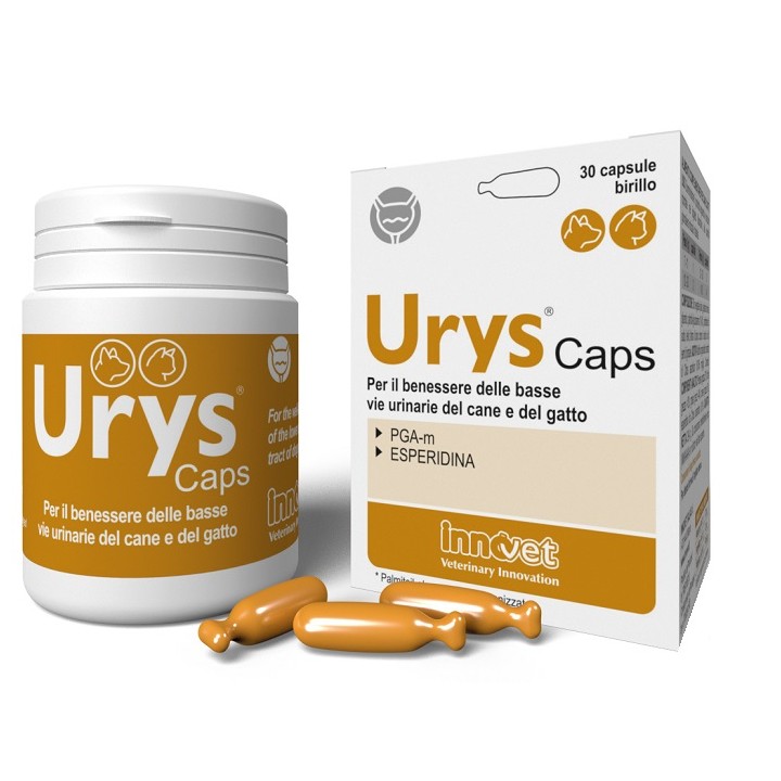 URYS CAPS 30CPS