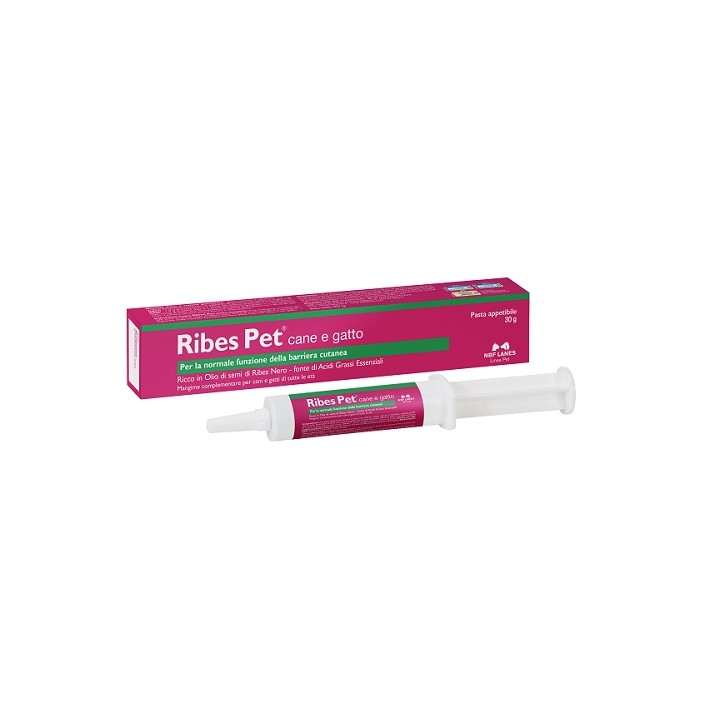 RIBES PET PASTA 30G