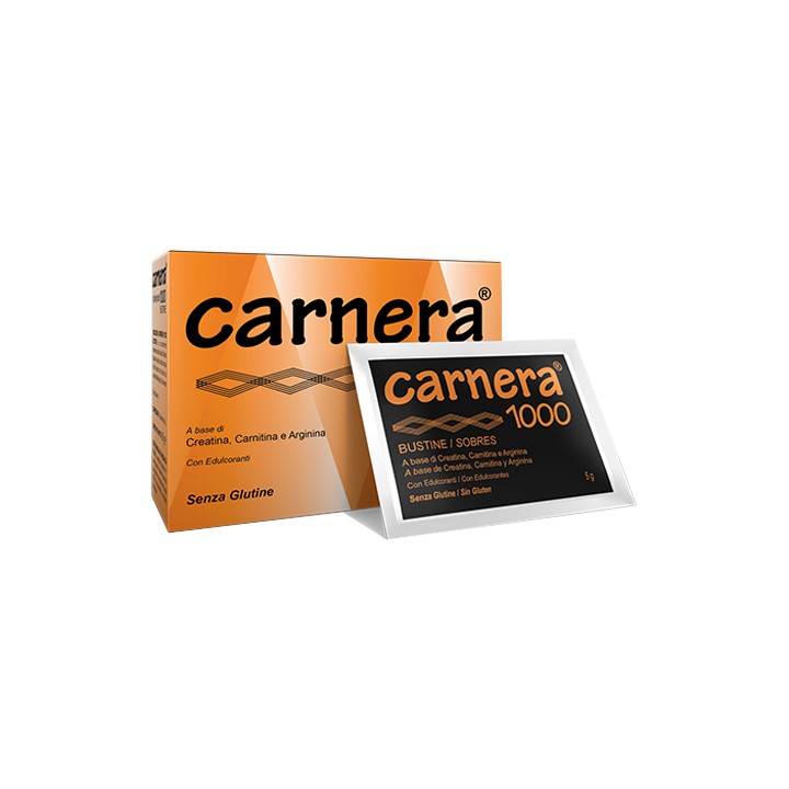 CARNERA 1000 18BUST