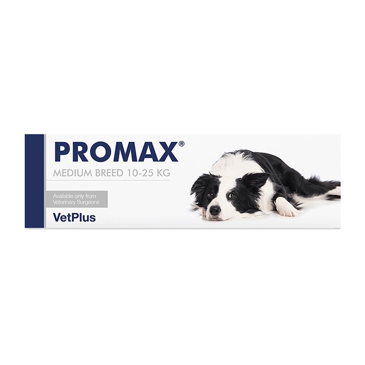 PROMAX MEDIUM BREED 18ML