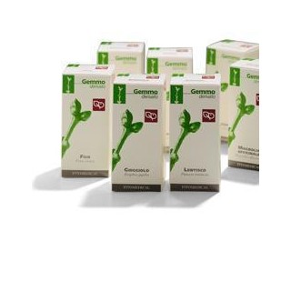 FICO RADICHETTE MG 200ML