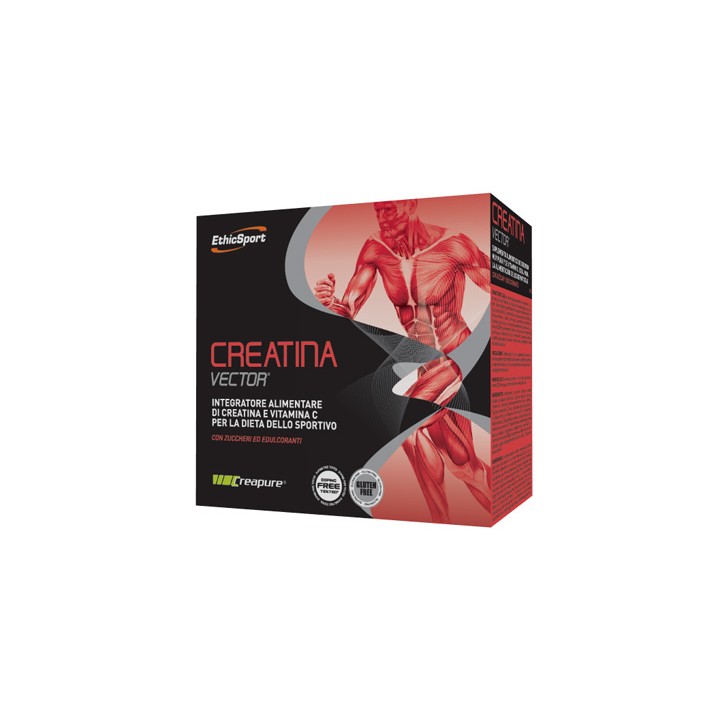 CREATINA VECT20BUST ETICHSPORT