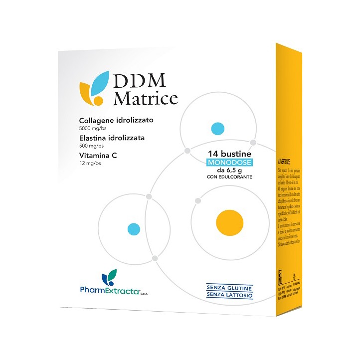 DDM MATRICE 14BUST