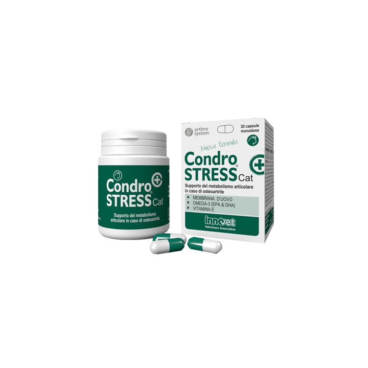 CONDROSTRESS + CAT 30CPS MONOD
