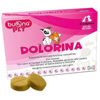DOLORINA 20CPR MASTIC NF