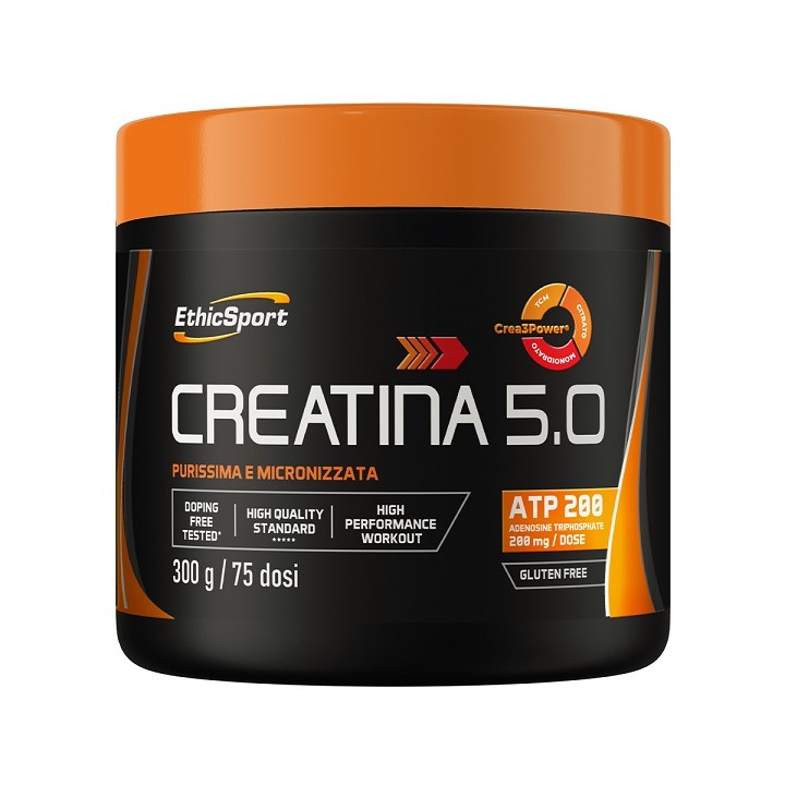 CREATINA 5,0 300G