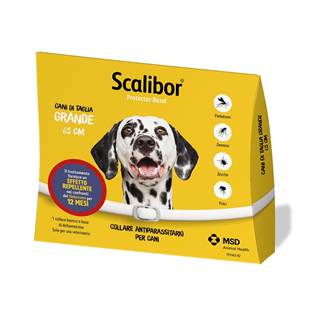 SCALIBOR PROTECTOR BAND*BI65CM