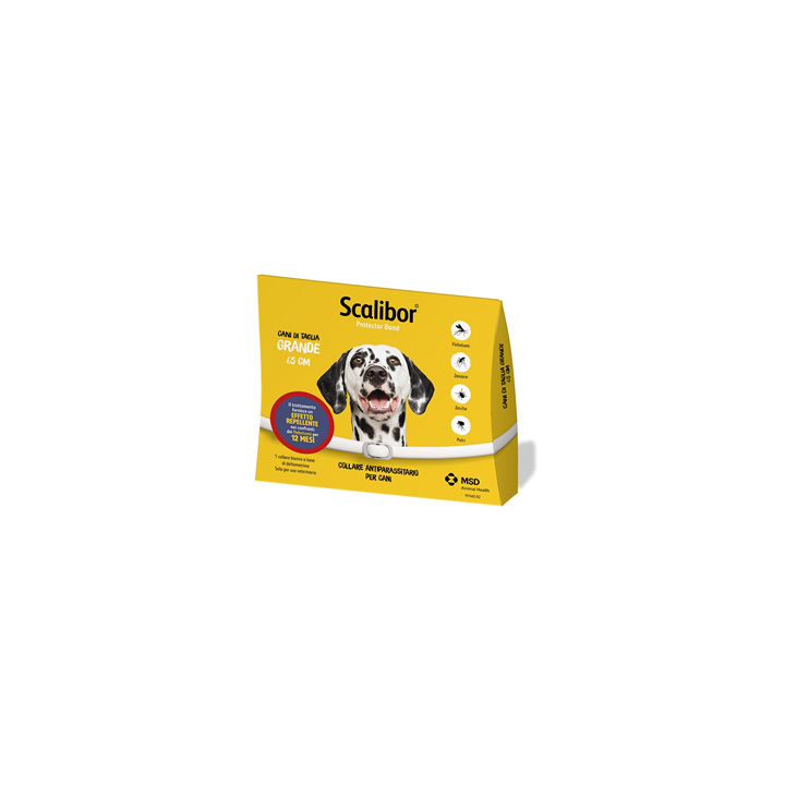SCALIBOR PROTECTOR BAND*BI65CM