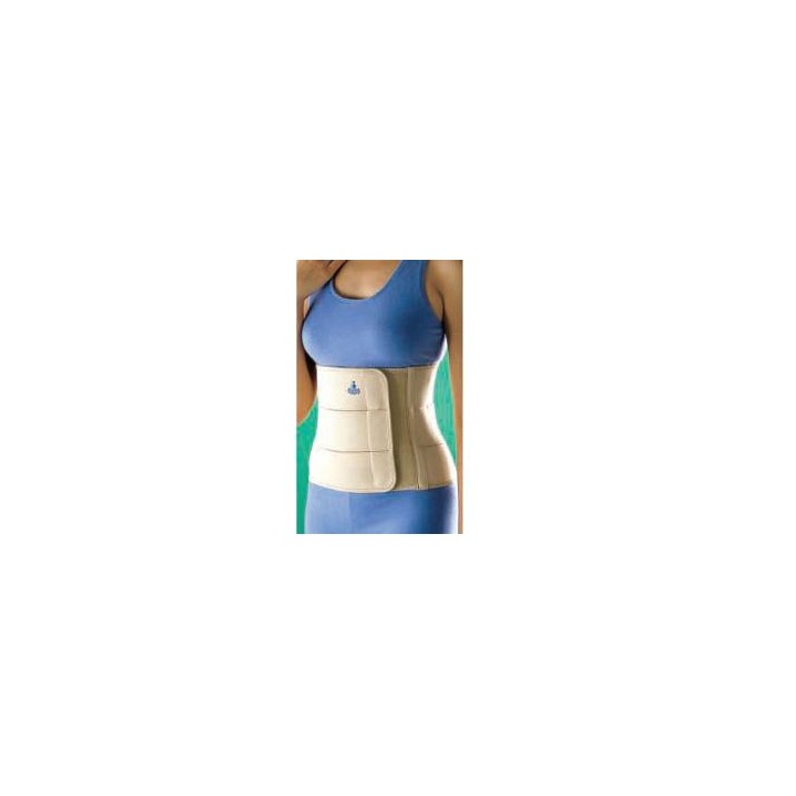 FASCIA ELASTICA ADDOM 2060 L