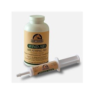 WIND AID SCIROPPO 947ML