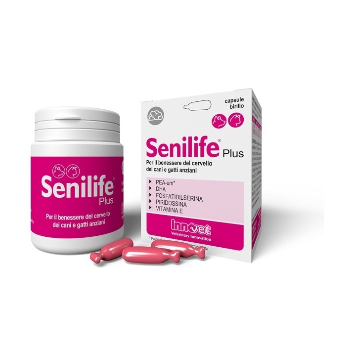 SENILIFE PLUS 60CPS