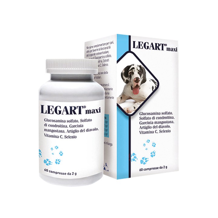 LEGART MAXI 60CPR