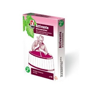 ATTIVANTE FERMENTAZIONE 100G