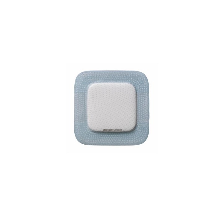 BIATAIN SIL ADES SACRO 15X19CM
