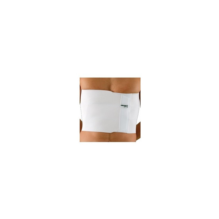 GIBAUD ORTHO CINT TOR REG 4B 2