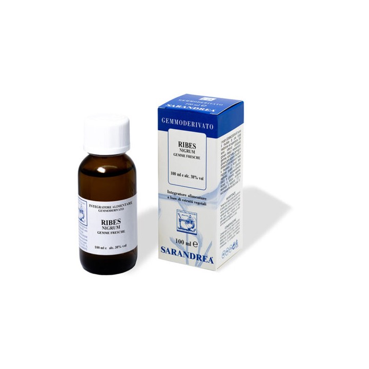 RIBES NIGRUM 100ML MG