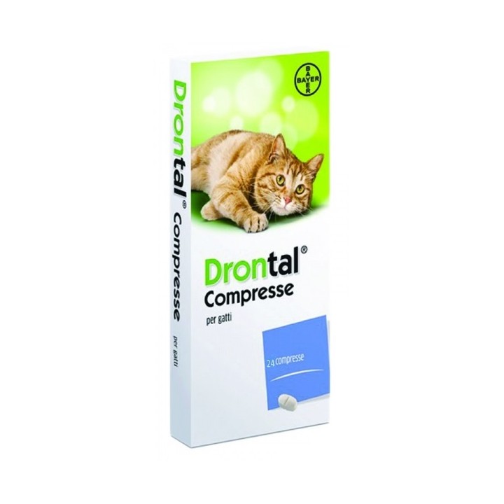 DRONTAL*24CPR GATTO