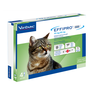 EFFIPRO DUO*4PIP 1-6KG GATTI