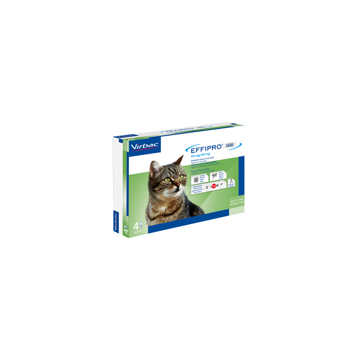 EFFIPRO DUO*4PIP 1-6KG GATTI