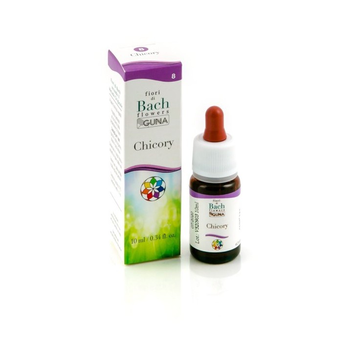 CHICORY GUN GTT 10ML