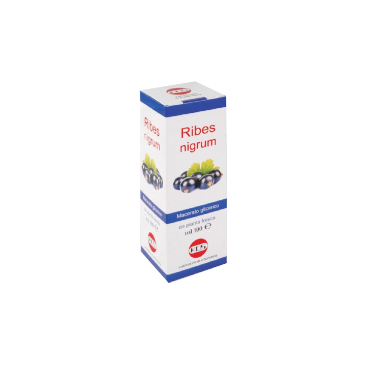 RIBES NIGRUM MG 100ML GTT