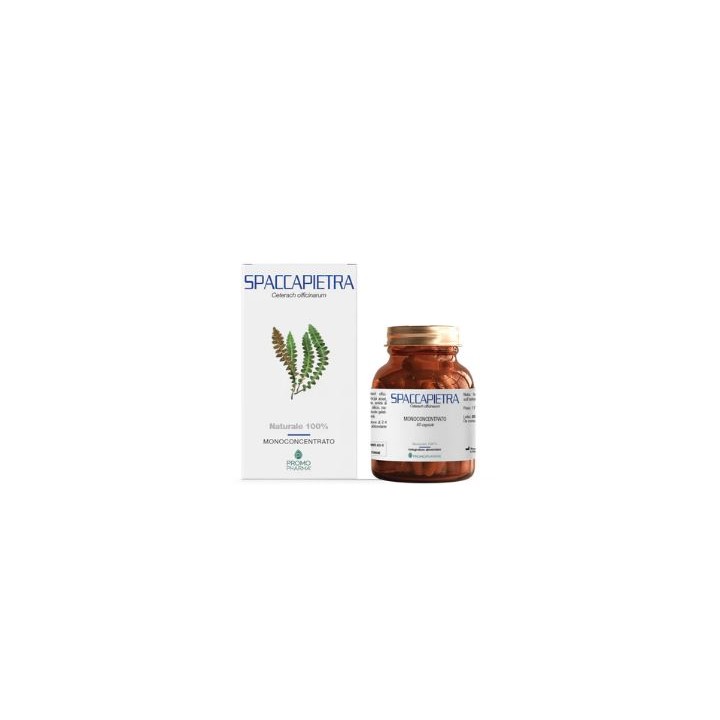 SPACCAPIETRA 50CPS
