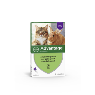 ADVANTAGE*4PIP 0,8ML SPOTON