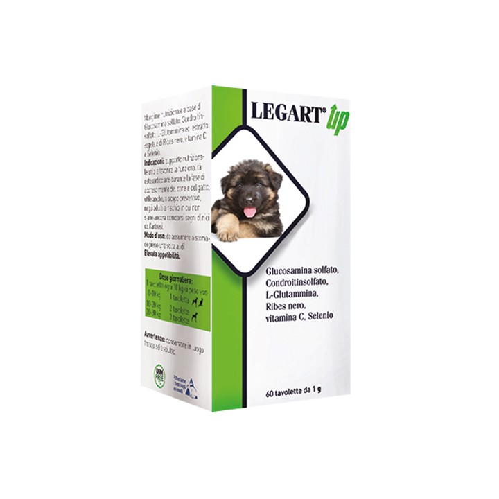 LEGART UP 60CPR