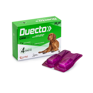 DUECTO*4PIP 20-40KG CANI