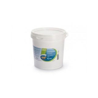GASTROCURE 2,6KG