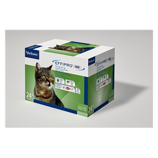 EFFIPRO DUO*24PIP 1-6KG GATTI