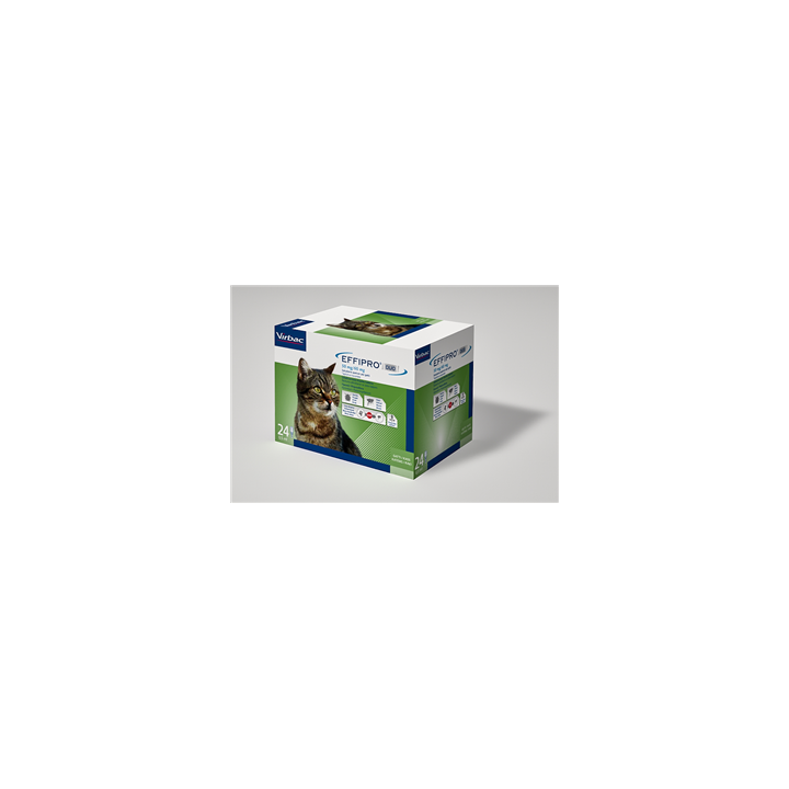 EFFIPRO DUO*24PIP 1-6KG GATTI