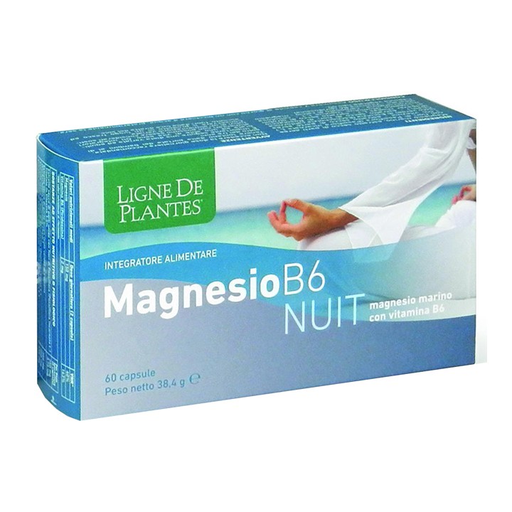 MAGNESIO B6 NUIT 60CPS