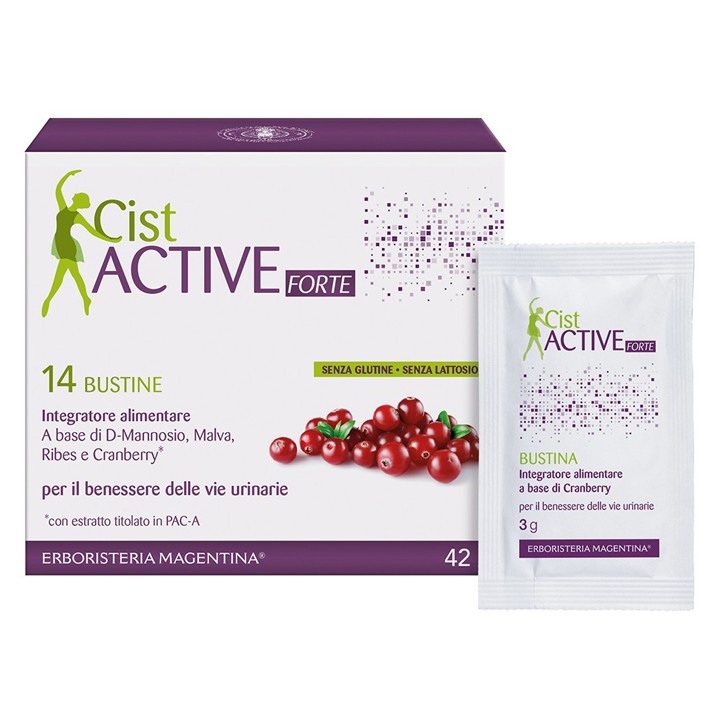 CIST ACTIVE BUSTINE 14BUST