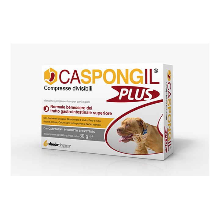 CASPONGIL PLUS 30CPR
