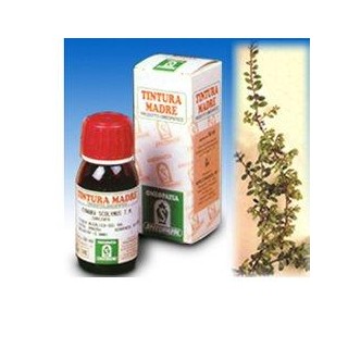 UVA URSINA 30 50ML TM