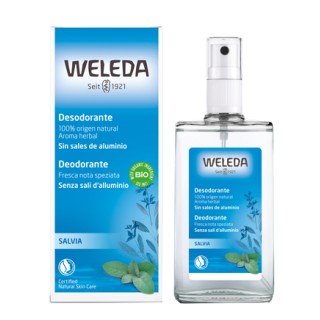 DEO SPRAY HERBAL FRESH 100ML