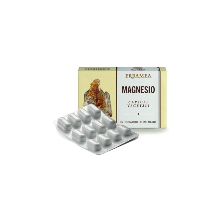 MAGNESIO 24CPS 1200MG